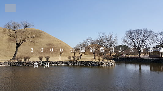 3000元律師費用怎么收取(律師怎樣收取費用)