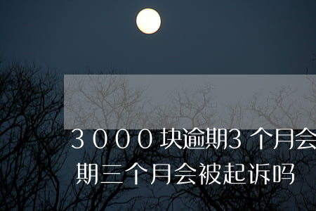 3000块逾期3个月会被起诉吗（30万逾期三个月会被起诉吗）