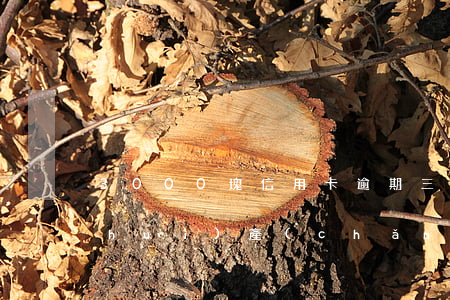 3000塊信用卡逾期三個(gè)月，會(huì)產(chǎn)生多少滯納金？