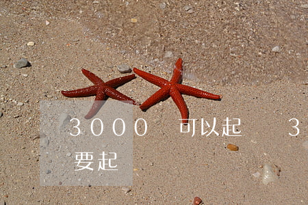 3000塊可以起訴嗎(3000元糾紛有必要起訴嗎)