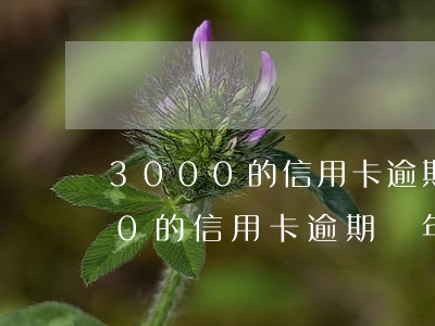 3000的信用卡逾期兩年會怎樣-3000的信用卡逾期兩年會怎樣處理