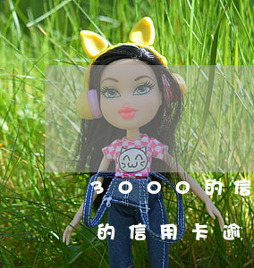 3000的信用卡逾期幾年上征信（3000的信用卡逾期幾年）