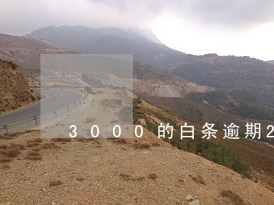 3000的白条逾期2年(白条逾期4年)