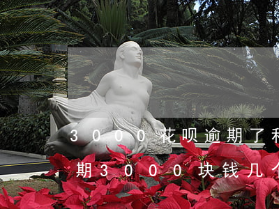 3000花呗逾期了利息一天多少-花呗逾期3000块钱几个月不还严不严重