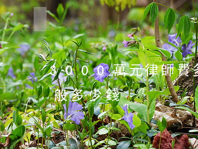 3000萬元律師費多少(300萬律師費一般多少錢)