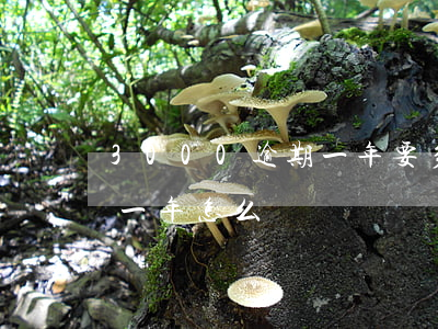 3000逾期一年要多少逾期費（三千元逾期一年怎么還）
