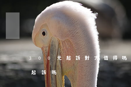 300元起訴對方值得嗎(3000塊錢可以起訴嗎)
