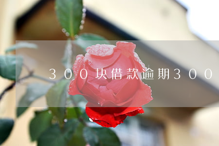 300块借款逾期（300块逾期了）