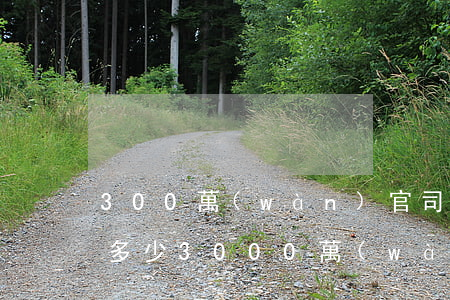 300萬(wàn)官司律師費(fèi)多少(3000萬(wàn)元律師費(fèi)多少)