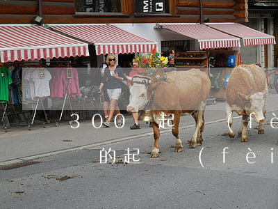 300萬起訴費(fèi)要多少錢(300萬的起訴費(fèi)是多少)