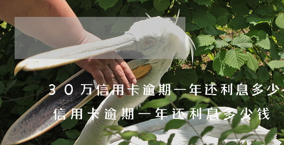 30万信用卡逾期一年还利息多少-30万信用卡逾期一年还利息多少钱