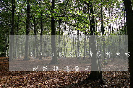 30万的欠款请律师大约多少钱(30万债务纠纷律师费用)