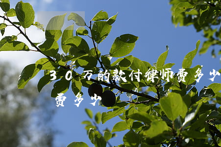 30万的款付律师费多少(20万的款付律师费多少)