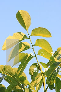 30了欠十幾萬(wàn)網(wǎng)貸還不上怎么辦-欠30萬(wàn)網(wǎng)貸沒錢還怎么辦