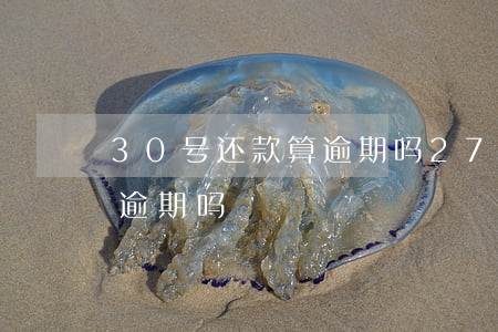 30号还款算逾期吗(27号还款日29号算逾期吗)
