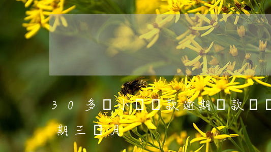30多個小額貸款逾期(貸款連續(xù)逾期三個月)