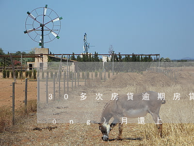30多次房貸逾期(房貸逾期30次但當(dāng)月還上)