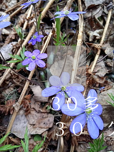 30多歲的女人欠網(wǎng)貸50萬(30歲欠40萬網(wǎng)貸如何翻身)