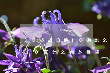 30多歲負債10萬怎么翻身(30多歲負債10萬怎么翻身賺錢)