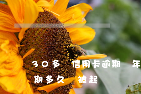30多萬信用卡逾期幾年了(信用卡30萬逾期多久會被起訴)