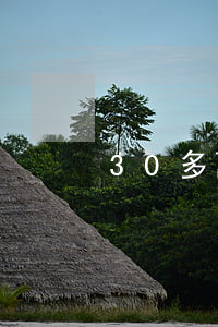 30多萬的債怎么還的(欠債30萬如何還債)
