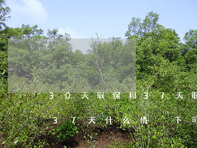 30天取保和37天取保有區(qū)別嗎(37天什么情況下可以取保)
