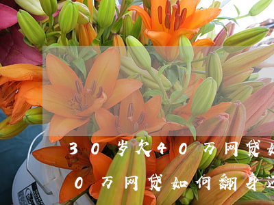 30岁欠40万网贷如何翻身-30岁欠40万网贷如何翻身还款