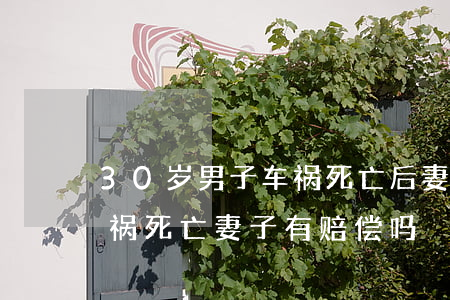 30岁男子车祸死亡后妻子有赔偿(丈夫出车祸死亡妻子有赔偿吗)