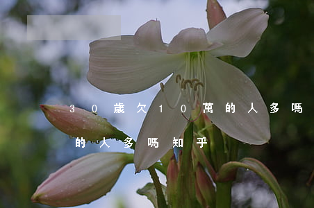 30歲欠10萬的人多嗎-30歲欠10萬的人多嗎知乎