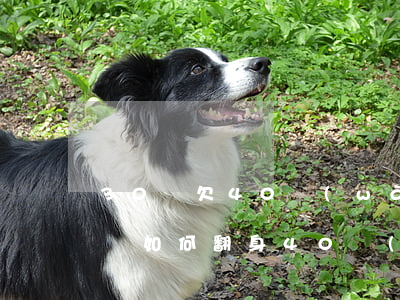 30歲欠40萬(wàn)網(wǎng)貸如何翻身(40萬(wàn)網(wǎng)貸終于還清了)