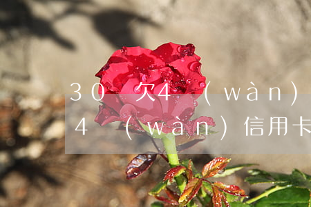 30歲欠4萬(wàn)信用卡-30歲欠4萬(wàn)信用卡
