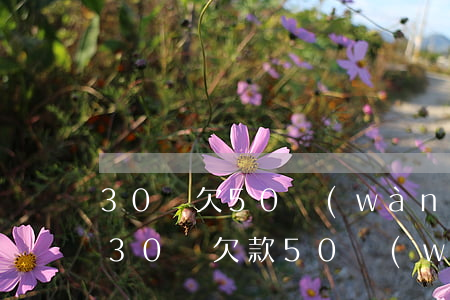 30歲欠50萬(wàn)手機(jī)貸(30歲欠款50萬(wàn)怎么辦)