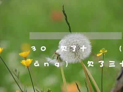 30歲欠了十幾萬網(wǎng)貸(網(wǎng)貸欠了三十萬)