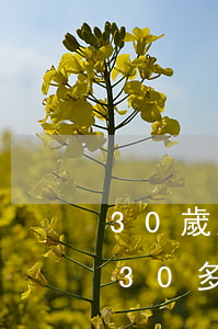 30歲欠網(wǎng)貸1萬多算多嘛(欠30多萬網(wǎng)貸怎么還)