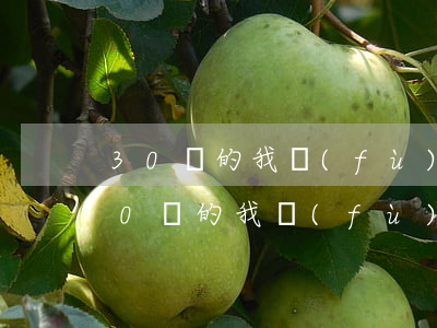 30歲的我負(fù)債20萬怎么辦-30歲的我負(fù)債20萬怎么辦呢