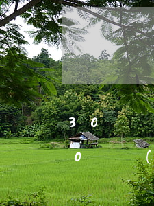 30歲負(fù)債幾十萬(wàn)-30歲負(fù)債幾十萬(wàn)還有希望嗎