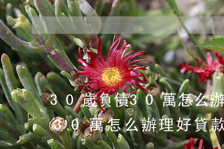 30歲負債30萬怎么辦理好-30歲負債30萬怎么辦理好貸款