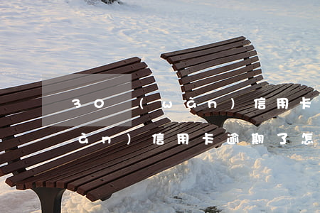 30萬(wàn)信用卡逾期了(30萬(wàn)信用卡逾期了怎么辦)