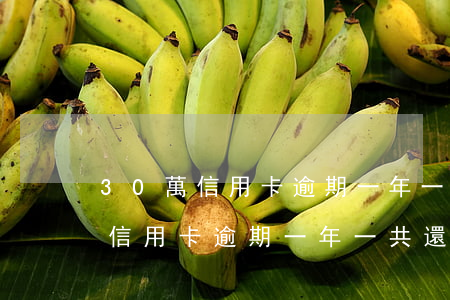 30萬信用卡逾期一年一共還多少-30萬信用卡逾期一年一共還多少利息