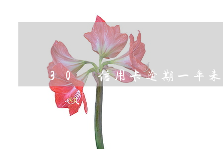 30萬信用卡逾期一年未還(信用卡30天以內(nèi)逾期)