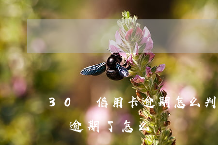 30萬信用卡逾期怎么判刑（信用卡久30多萬逾期了怎么辦）