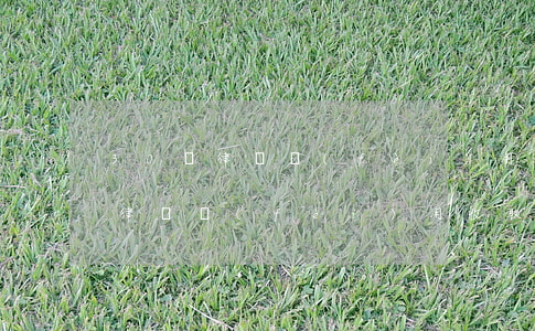 30萬律師費(fèi)用是多少(300萬律師費(fèi)用收取標(biāo)準(zhǔn))
