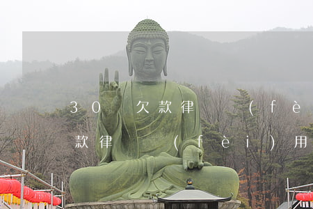30萬欠款律師費(fèi)多少(二十萬欠款律師費(fèi)用)