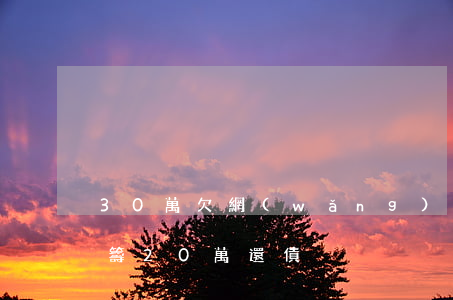 30萬欠網(wǎng)貸怎么眾籌(怎么眾籌20萬還債)