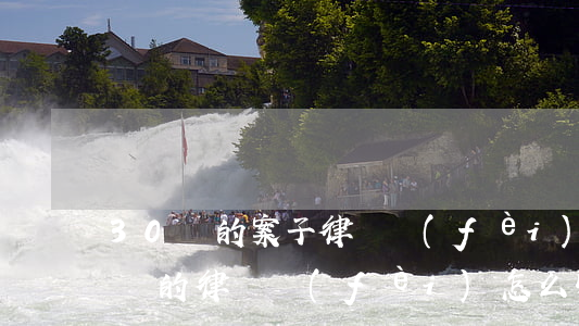 30萬的案子律師費(fèi)要多少(30萬的律師費(fèi)怎么收)