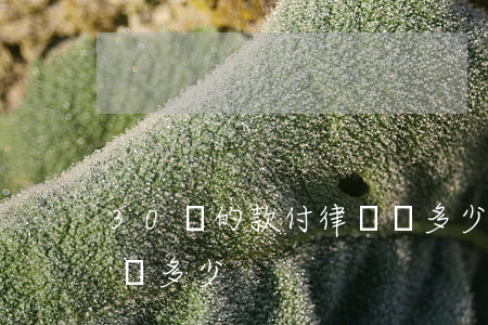 30萬的款付律師費多少(30萬的款付律師費多少)
