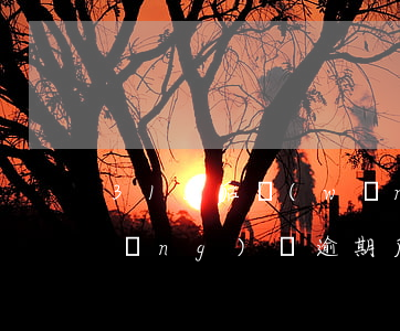 315后網(wǎng)貸全部逾期(網(wǎng)貸逾期后最后怎么解決)