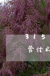 315嚴(yán)打是什么意思(315都管什么)