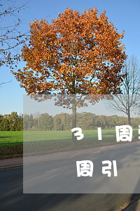 31周要離婚怎么開引產(chǎn)(31周引產(chǎn)后多久來月經(jīng))