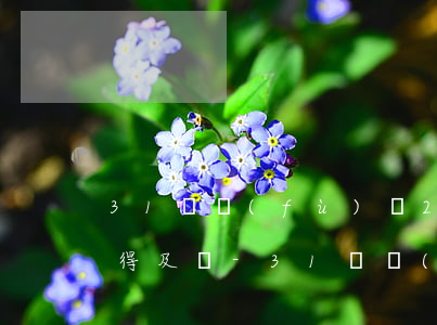 31歲負(fù)債20萬(wàn)還來得及嗎-31歲負(fù)債30萬(wàn)